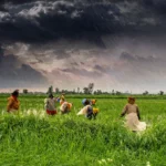 1_Agriculture_and_rural_farms_of_India